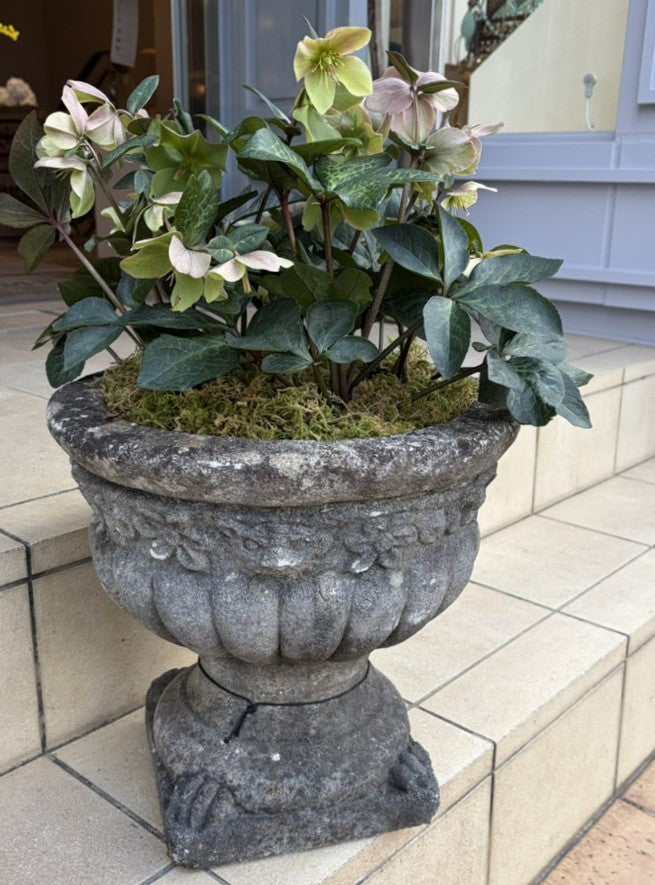 芦屋ブランドジュリエ – Blanc de Juillet