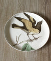 Astier de Villatte Jonderian Orange bird perched on a branch