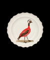 Astier de Villatte Johnderian Plate Red Peruvian Hen