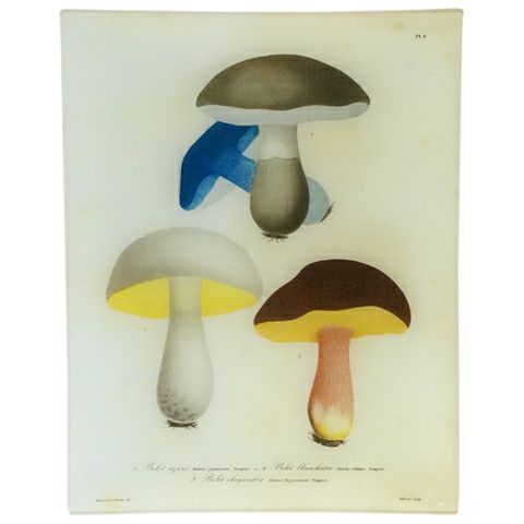 John Derian Plate Mushroom 8
