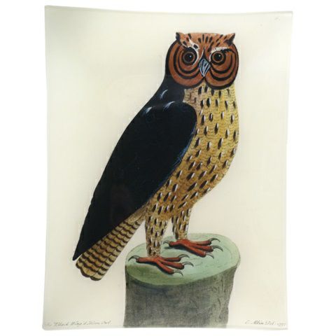 John Derian Plate Horn Owl