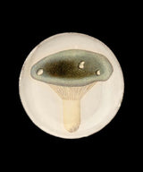 Astier de Villatte ジョンデリアン・ソーサー・シャンピニオンi