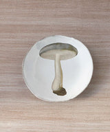 Astier de Villatte ジョンデリアン・ソーサー・シャンピニオンp