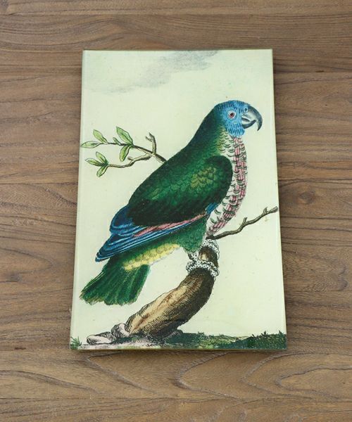 John Derian Plate Bluebird