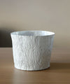 Astier de Villatte Oak Planter Pot 2