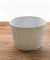 Astier de Villatte Oak Planter Pot 1