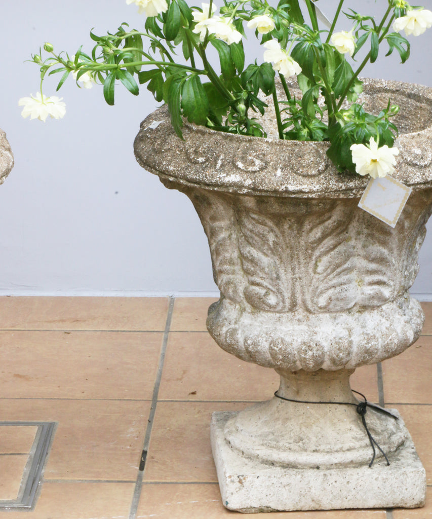 Astier de Villatte The Vase has Two Faces・ヴェース – Blanc de Juillet
