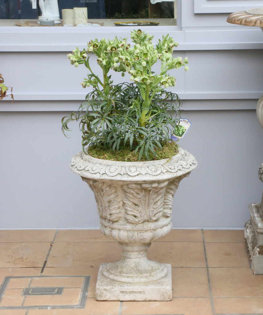 Astier de Villatte The Vase has Two Faces・ヴェース – Blanc de Juillet