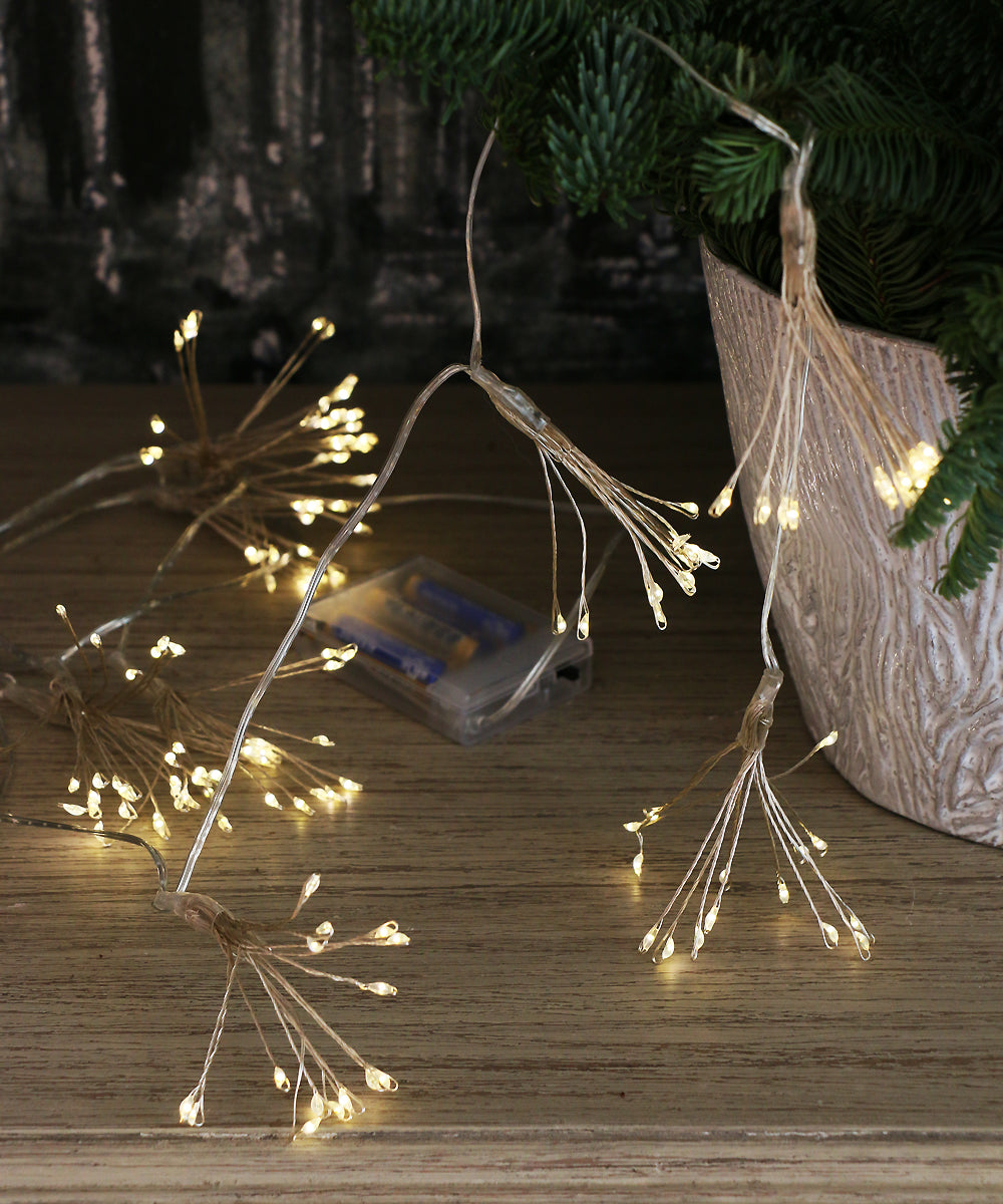 芦屋ブランドジュリエ – Blanc de Juillet