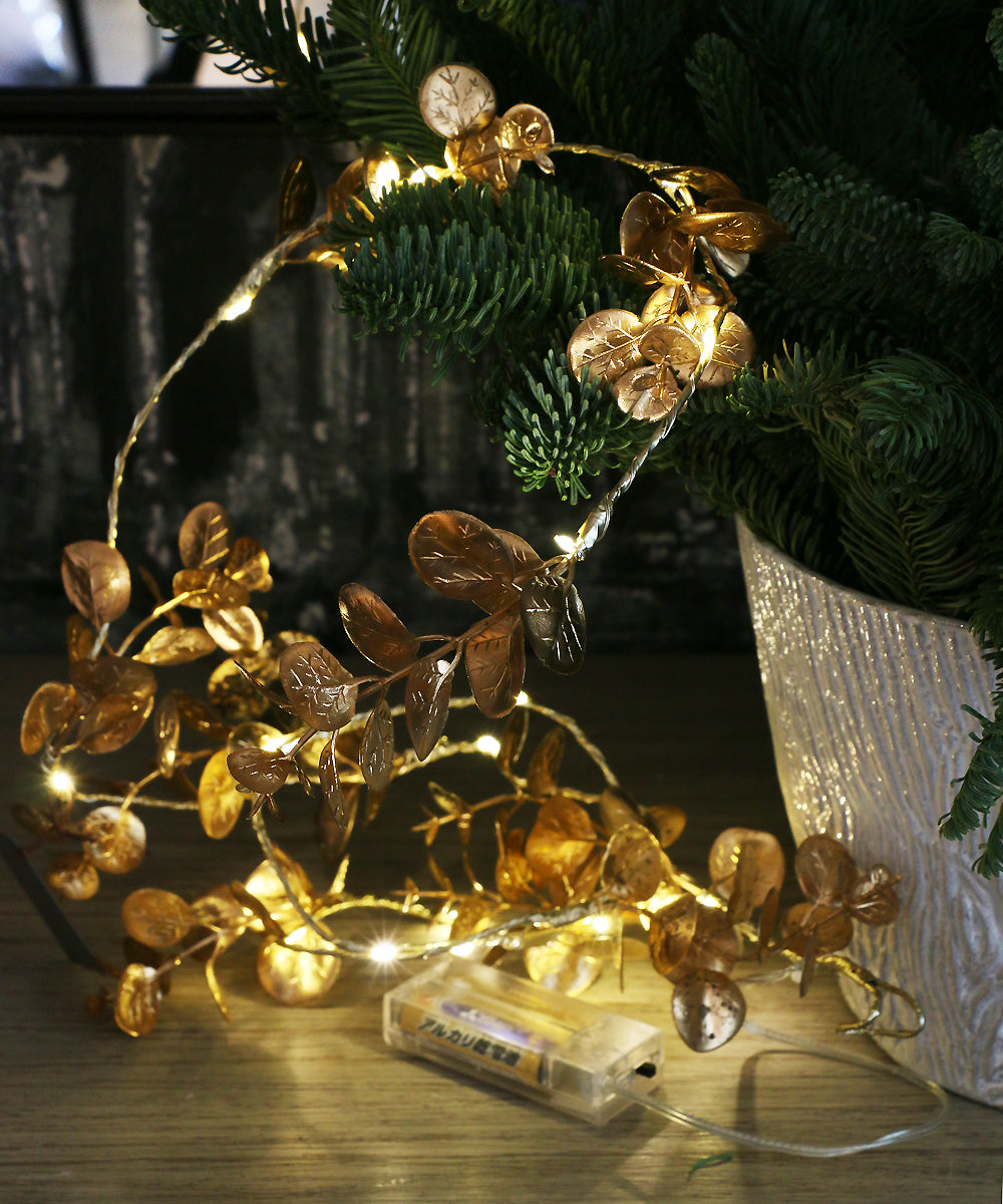 芦屋ブランドジュリエ – Blanc de Juillet