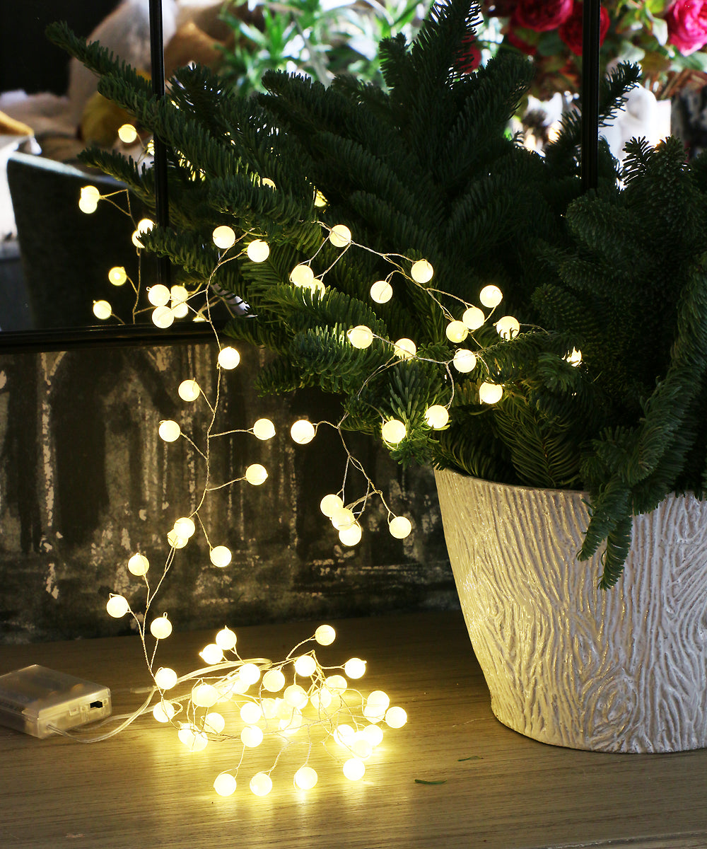 芦屋ブランドジュリエ – Blanc de Juillet