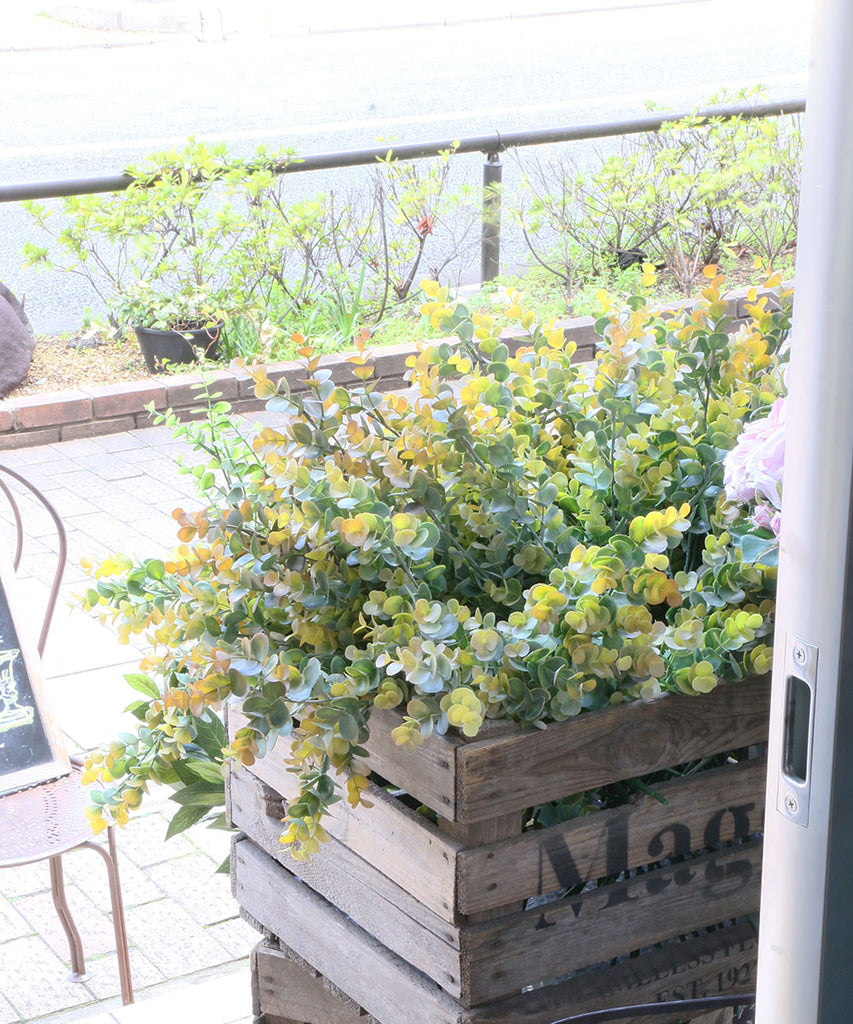 Fiorira un Giardino アーティフィシャルフラワー・ユーカリ・若葉H70cm