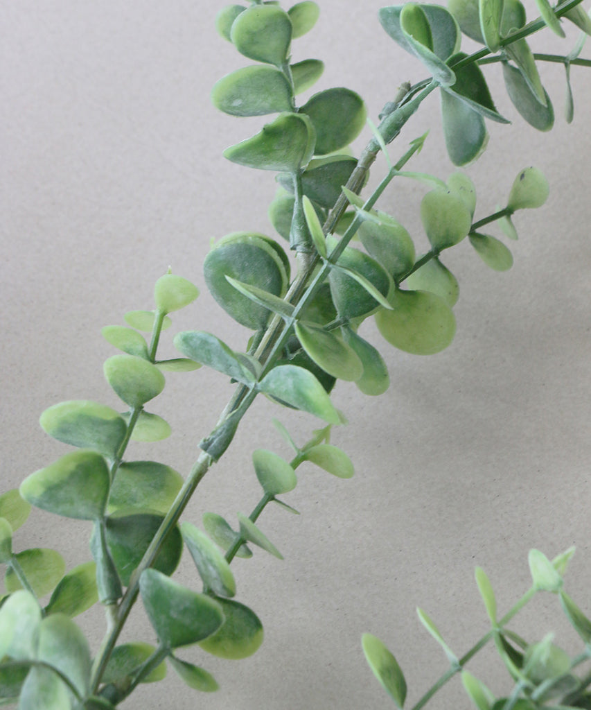 Fiorira un Giardino アーティフィシャルフラワー・ユーカリグリーンH65cm