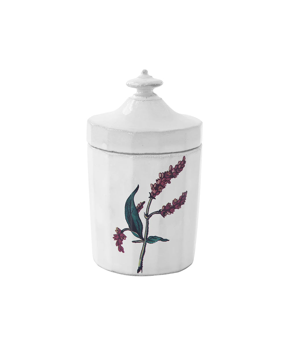 Astier de Villatte ジョンデリアン・レディースサム・ボックス