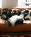 Dyreskinn sheepskin cushion Icelandic multi black 40x40